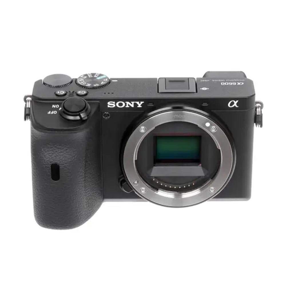 Sony Alpha ILCE-6600 Body